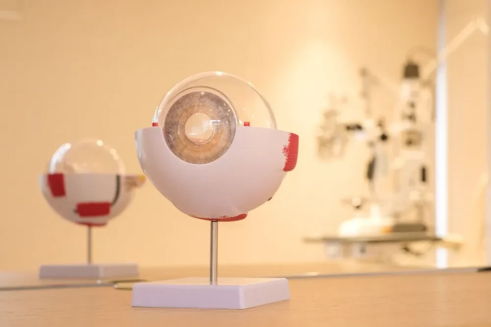 Equipamento de ortóptica para avaliação da motilidade ocular
