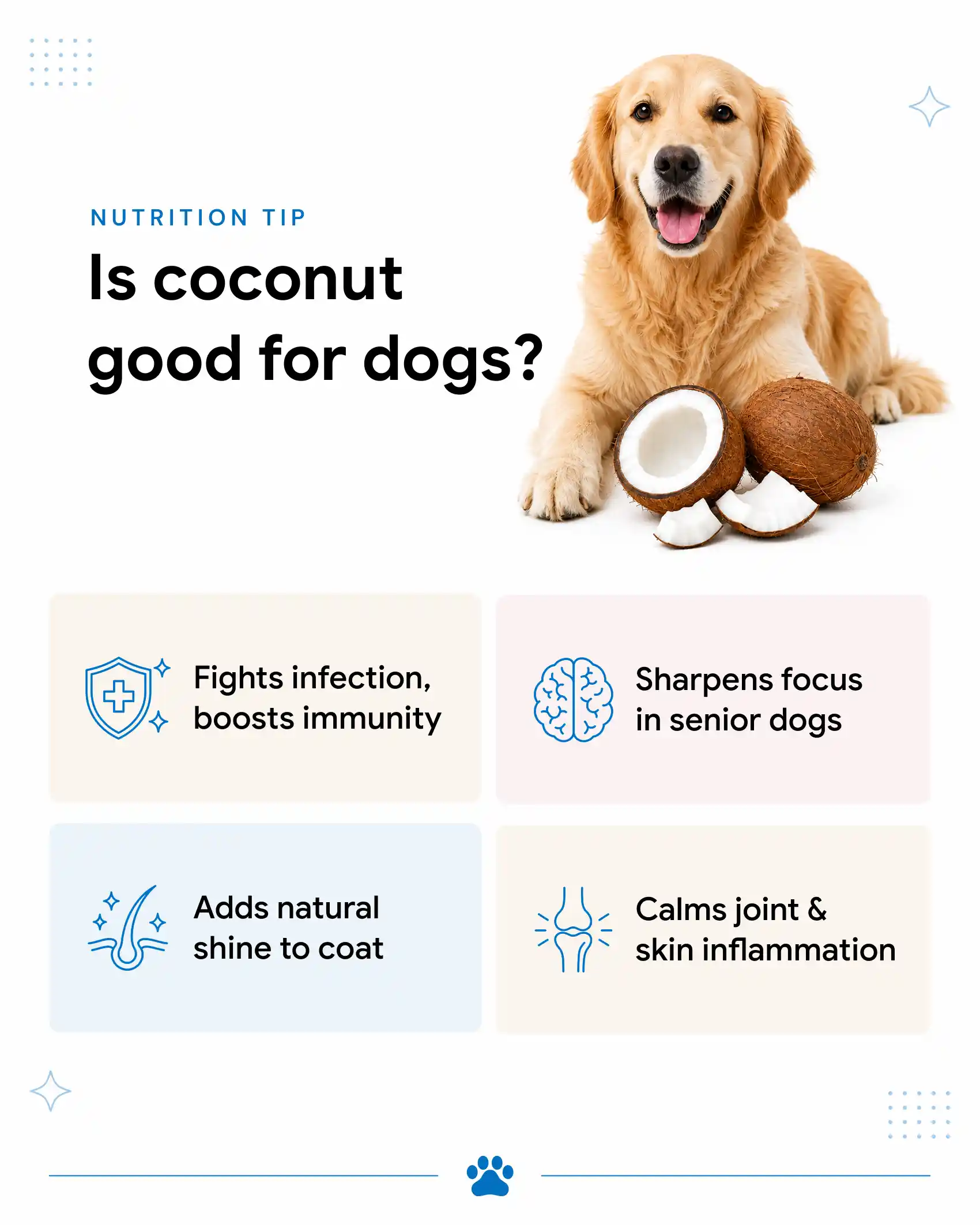 Benefits of coconut to dogs