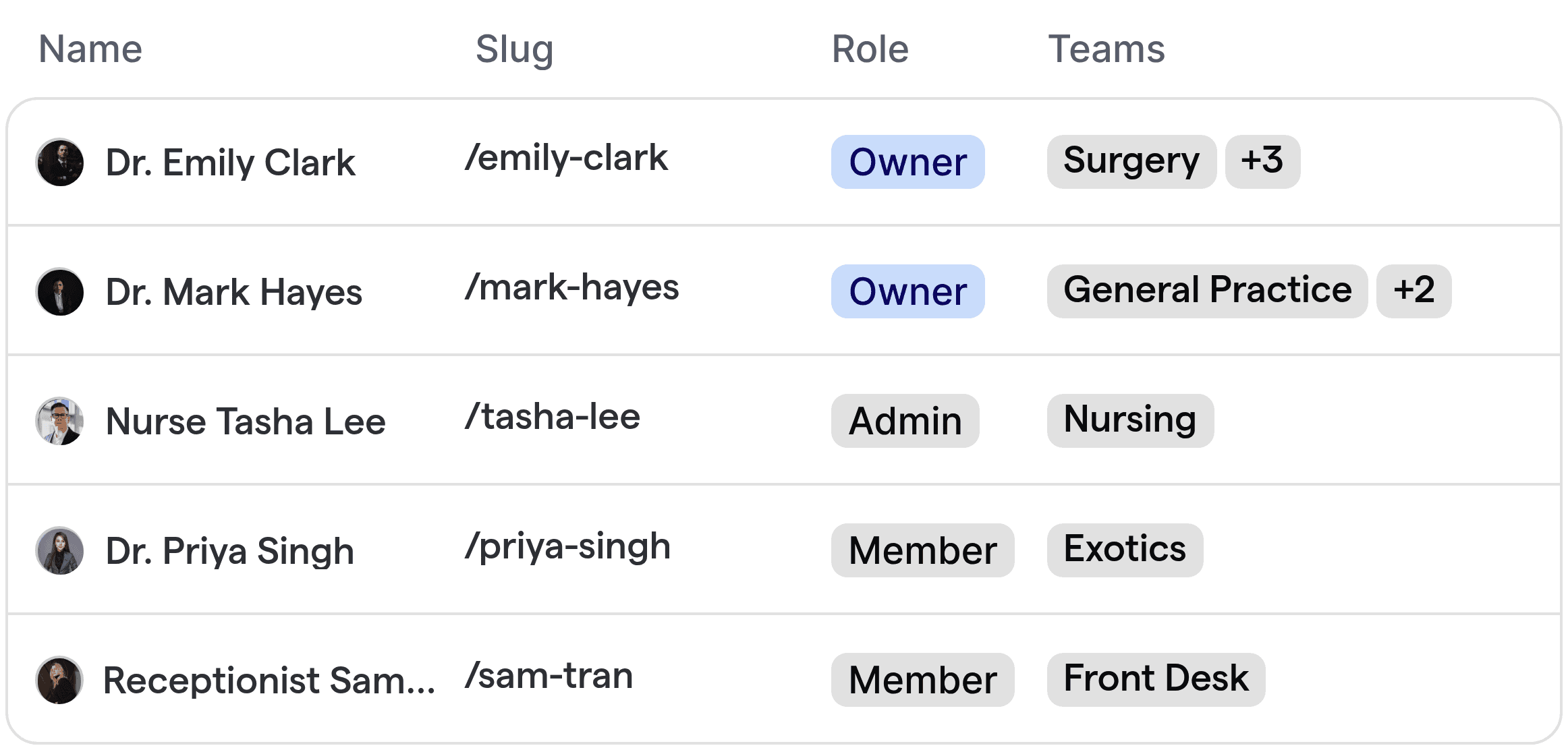 Automated routing table for veterinary clinics, showing assignment of staff such as vets, nurses, and reception.