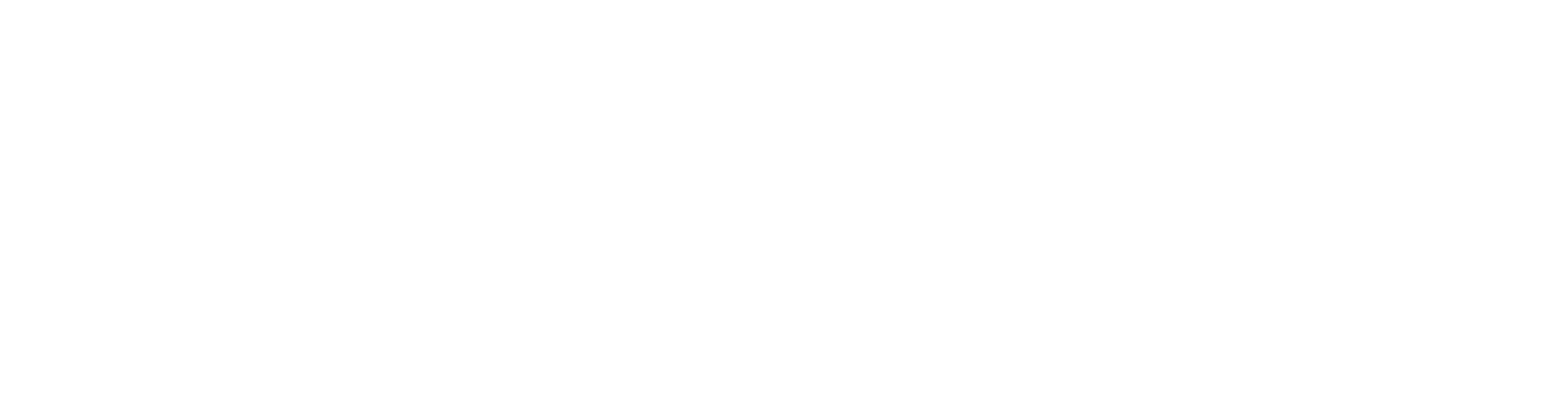 Logo Design Project for a Client