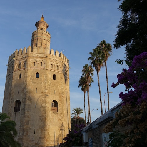 உயரமான பல்லிவாசல் உடைய ஒரு கல்தொகுப்பான கோட்டை, தெற்கு காட்டு மரங்கள் மற்றும் மலர்கொள்கைகளைச் சுற்றியுள்ள, தெளிவான நீல வானத்தின் கீழ்.