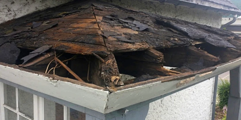 Profession Rot Repair Services in Marysville, WA