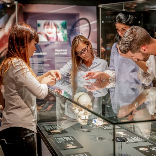 医学生参观展览