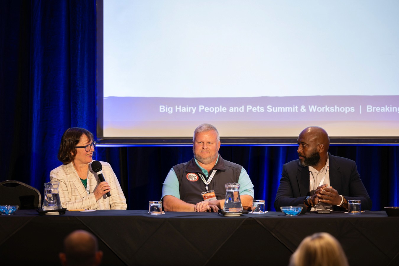 Panelists speaking at conference