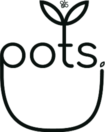 Line art logo of a plant with a small leaf above the word "roots," inside a simple pot shape.