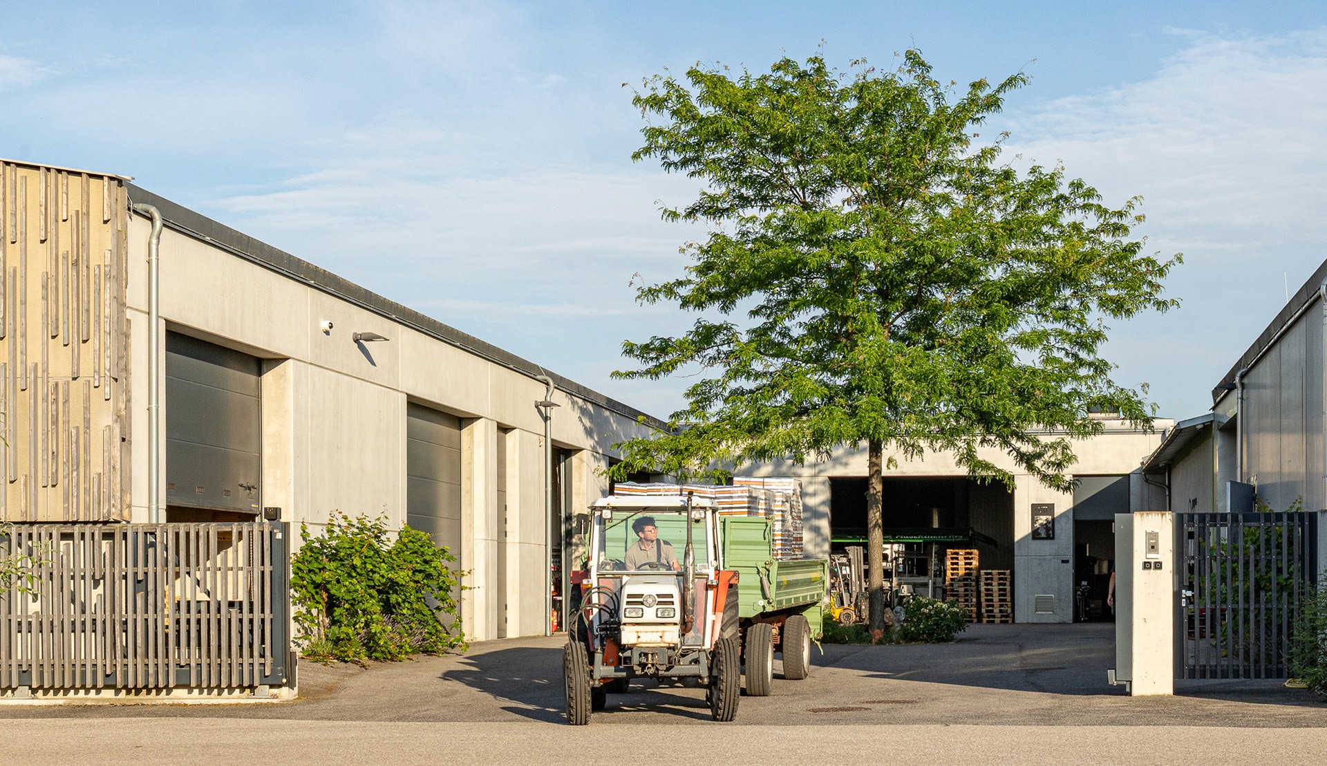 Arbeitshof mit großem Lederhülsenbaum, der Schatten für Fahrzeuge und Gebäude spendet.