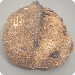 Hogaza de masa madre con cacao y trozos de chocolate, con corteza rústica, hecha por Horneology.