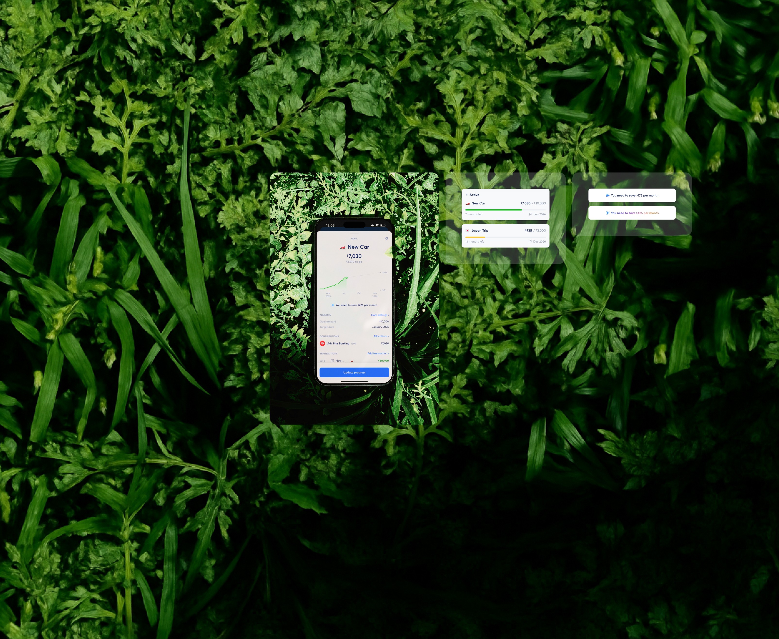 Copilot Money Analytics