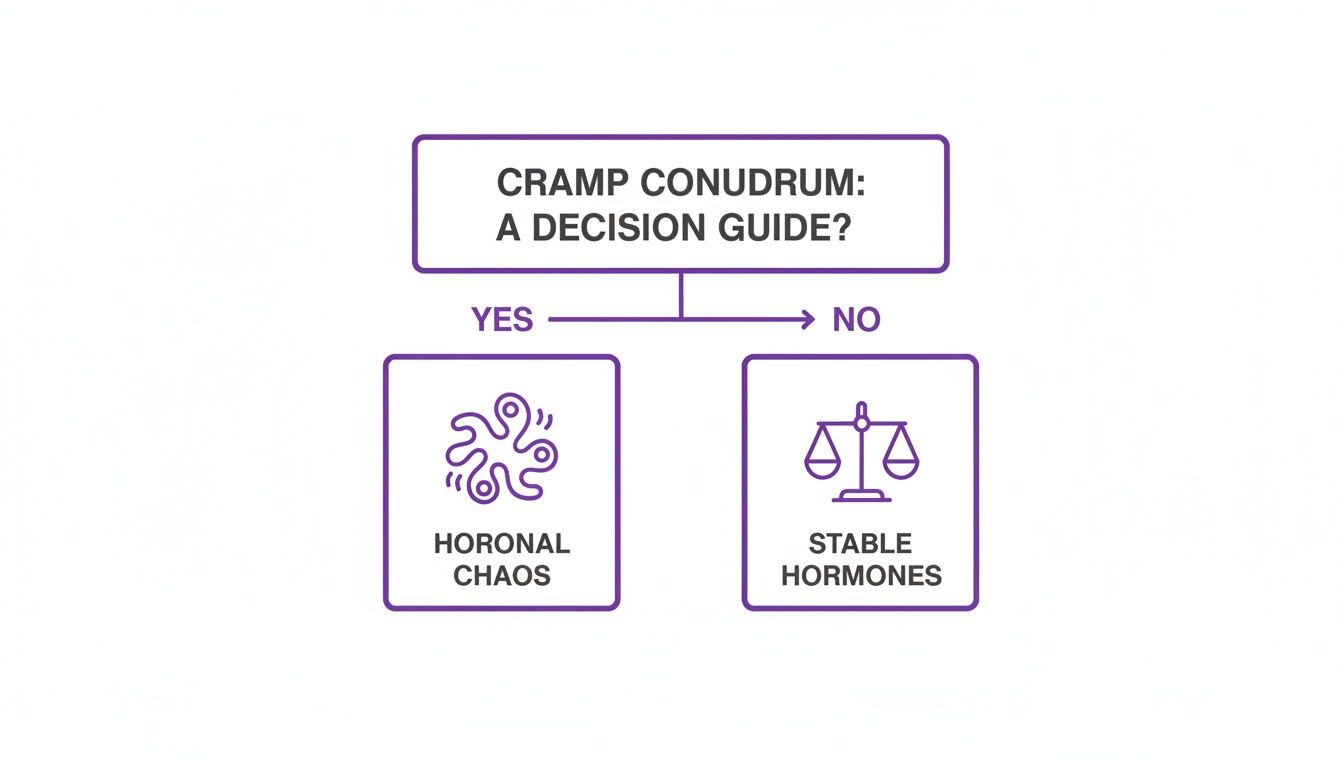 Flowchart depicting a cramp conundrum decision guide: 'YES' for hormonal chaos, 'NO' for stable hormones.