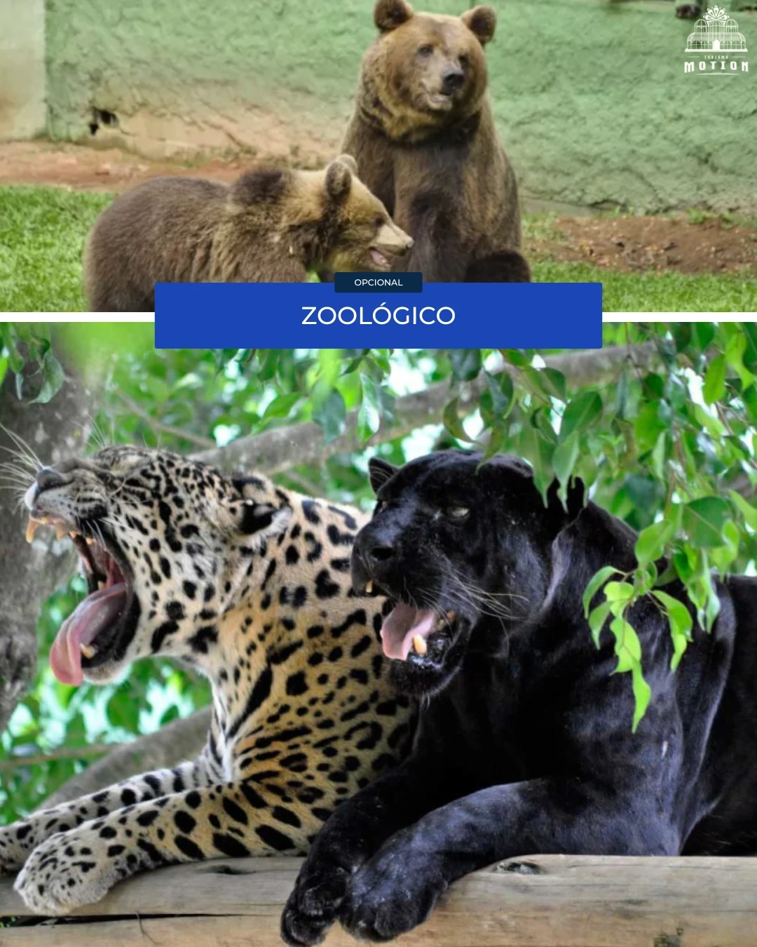 Zoológico  - Motion Turismo