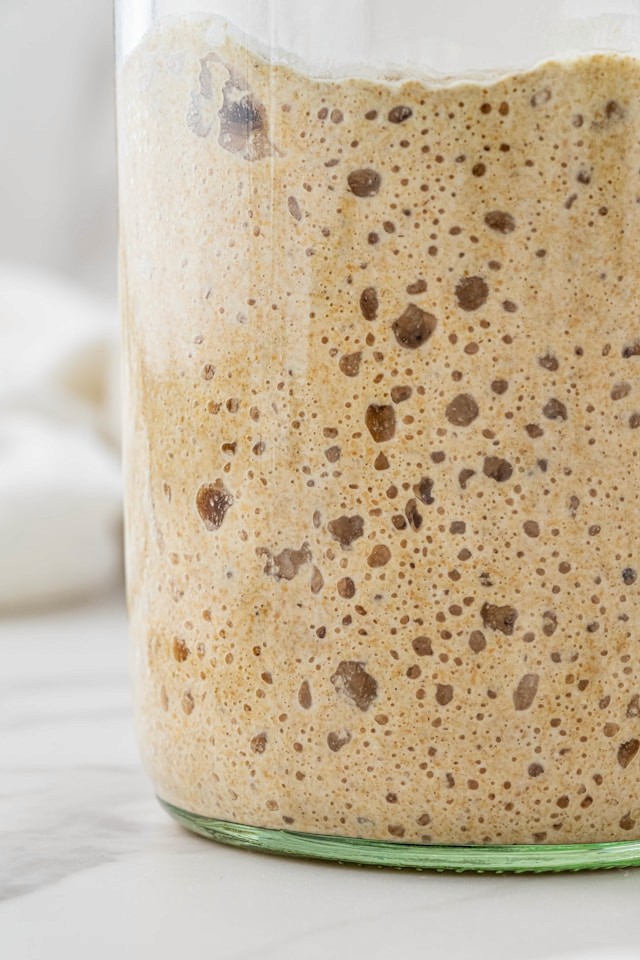 Fermentation