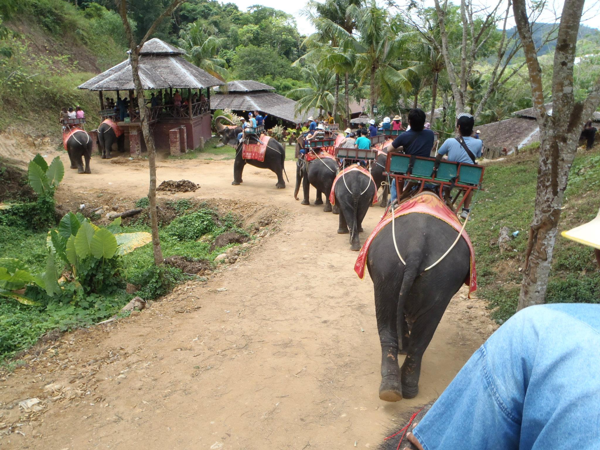 photography of dam during daytime