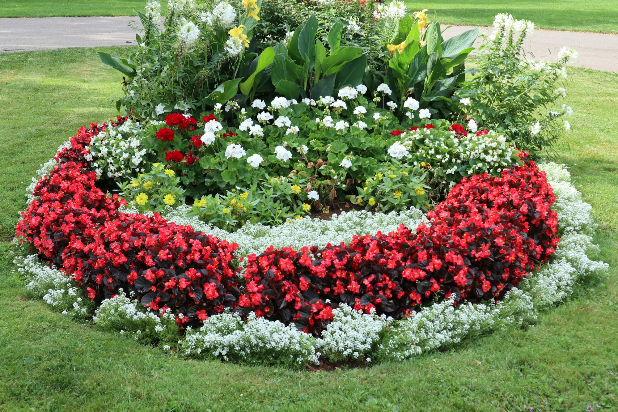 Red and white flowers in a circular garden bed surrounded by green lawn. Sample garden image.