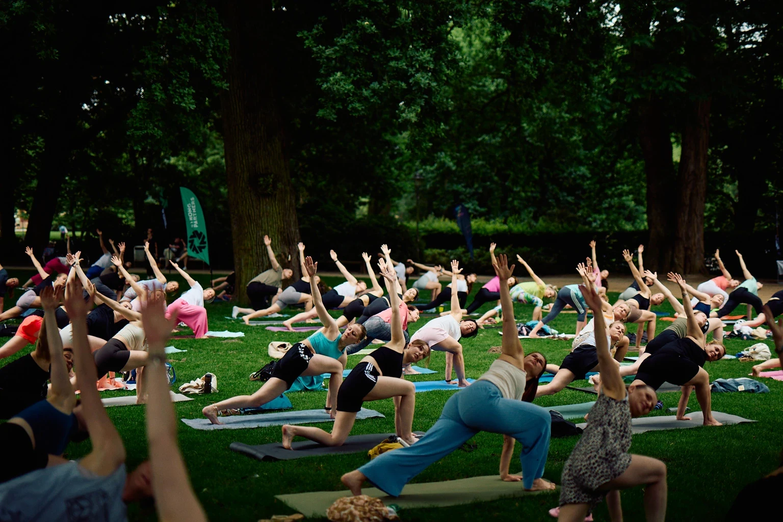 Viele Menschen auf einer Wiese, die Yoga-Übungen ausführen