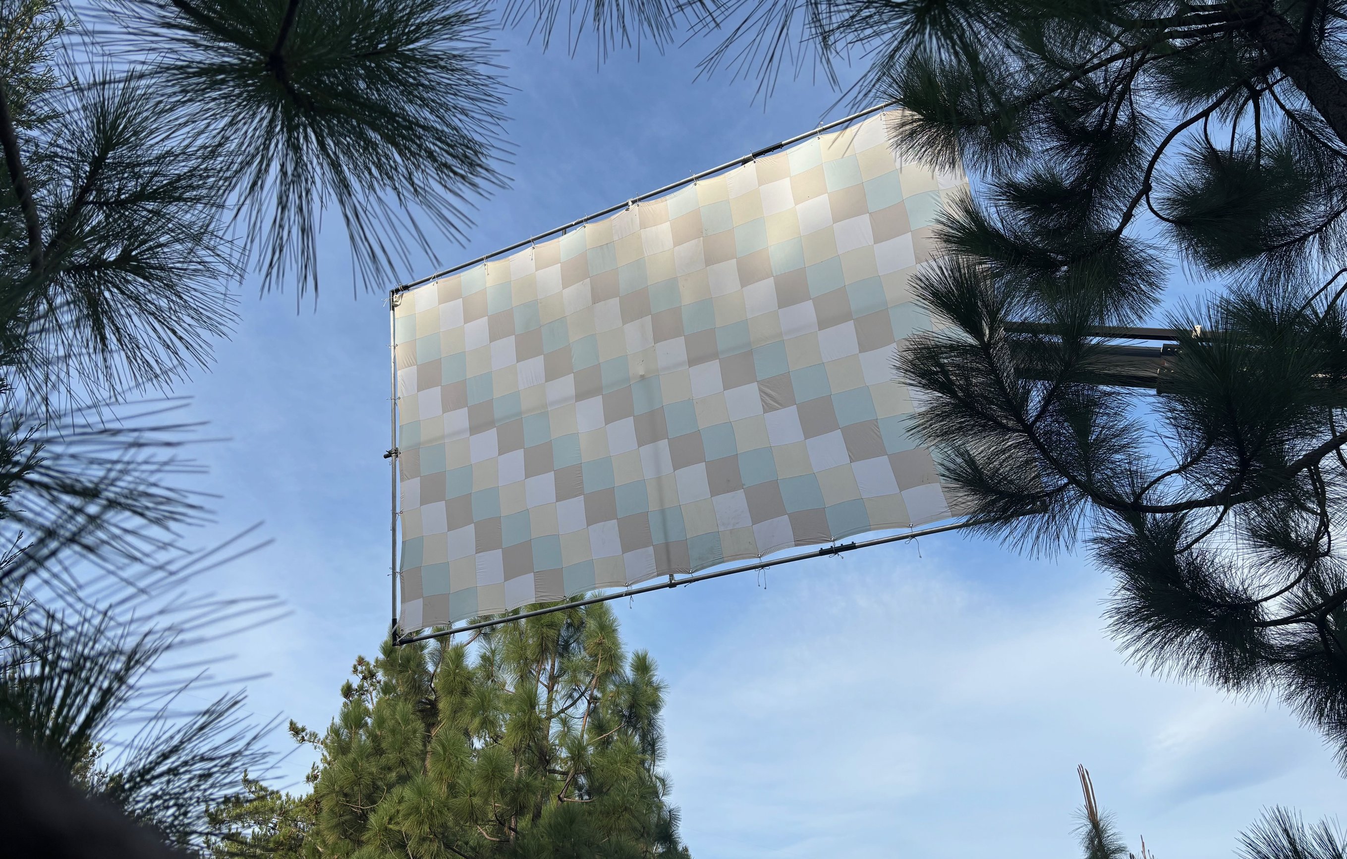 12x20 checker bounce overhead viewed through pine branches in the foreground, blue sky and full checker face visible.