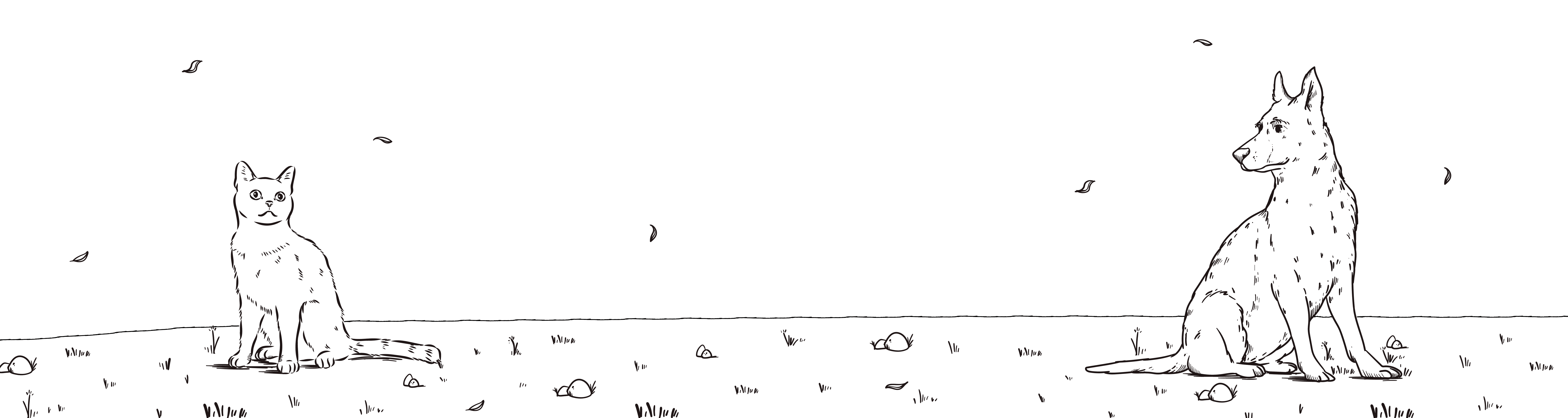 Illustration d'un chat et chien à l'extérieur