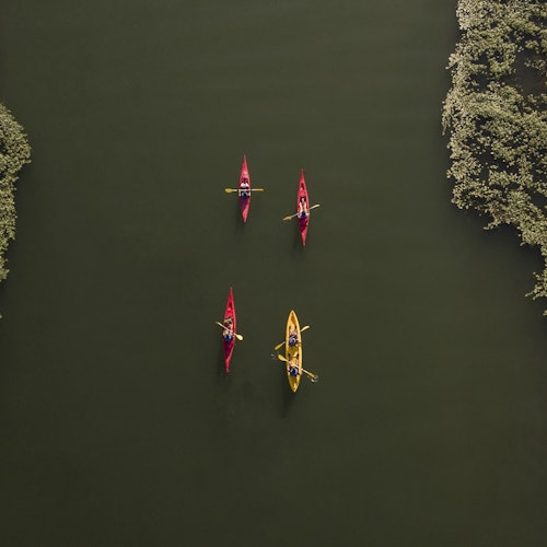 Cuatro kayaks, dos rojos y uno amarillo, con personas remando en aguas tranquilas, rodeados de follaje verde a ambos lados.