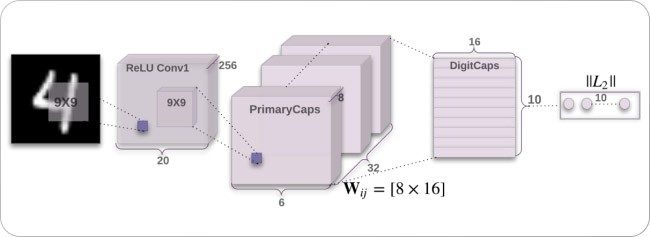 Dynamic routing between capsules