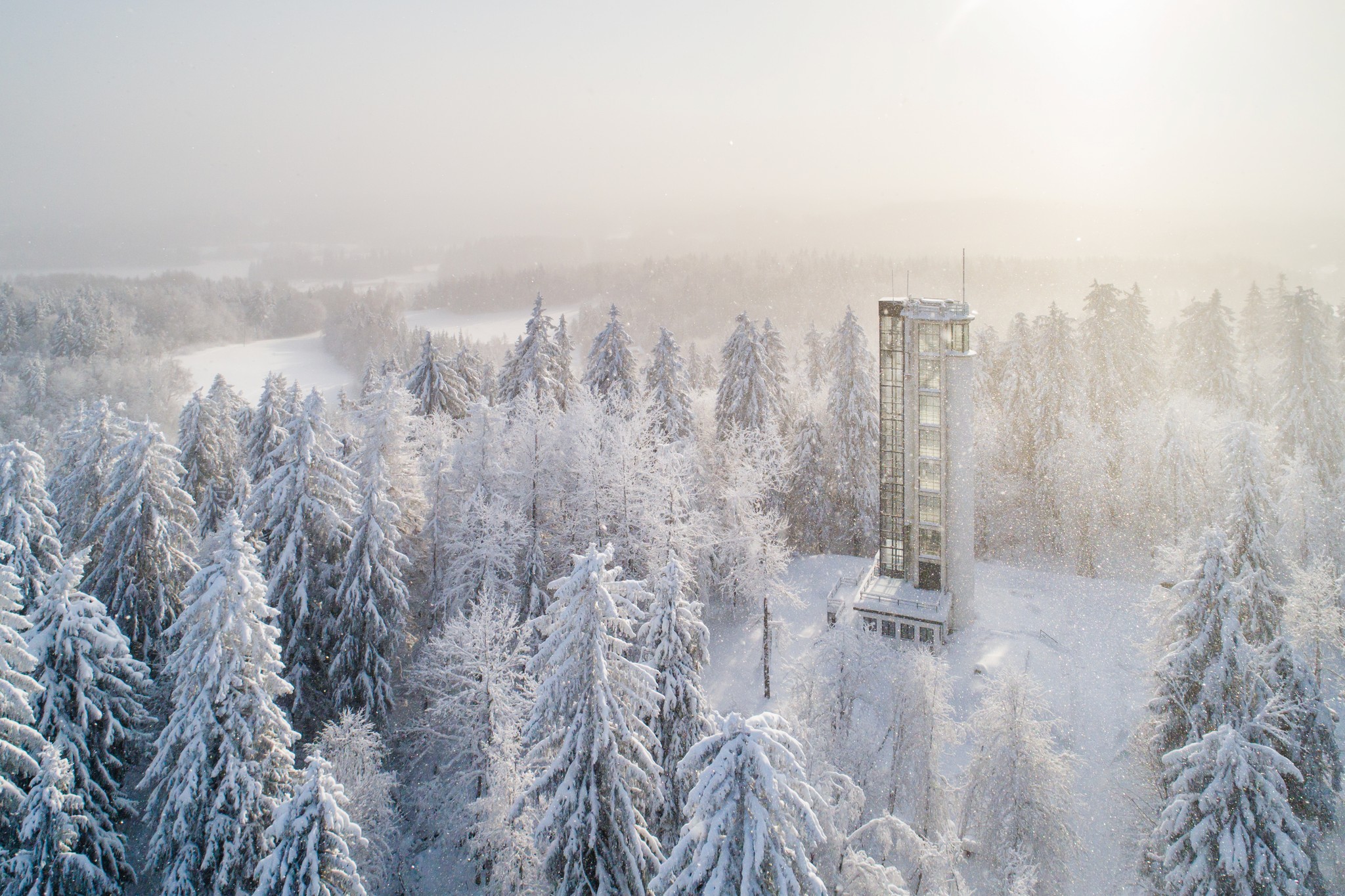 wooden house near pine trees and pond coated with snow during daytime