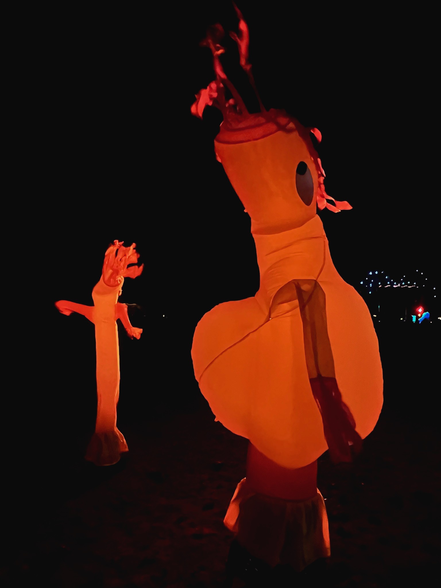 Inflatables glow in the night sky