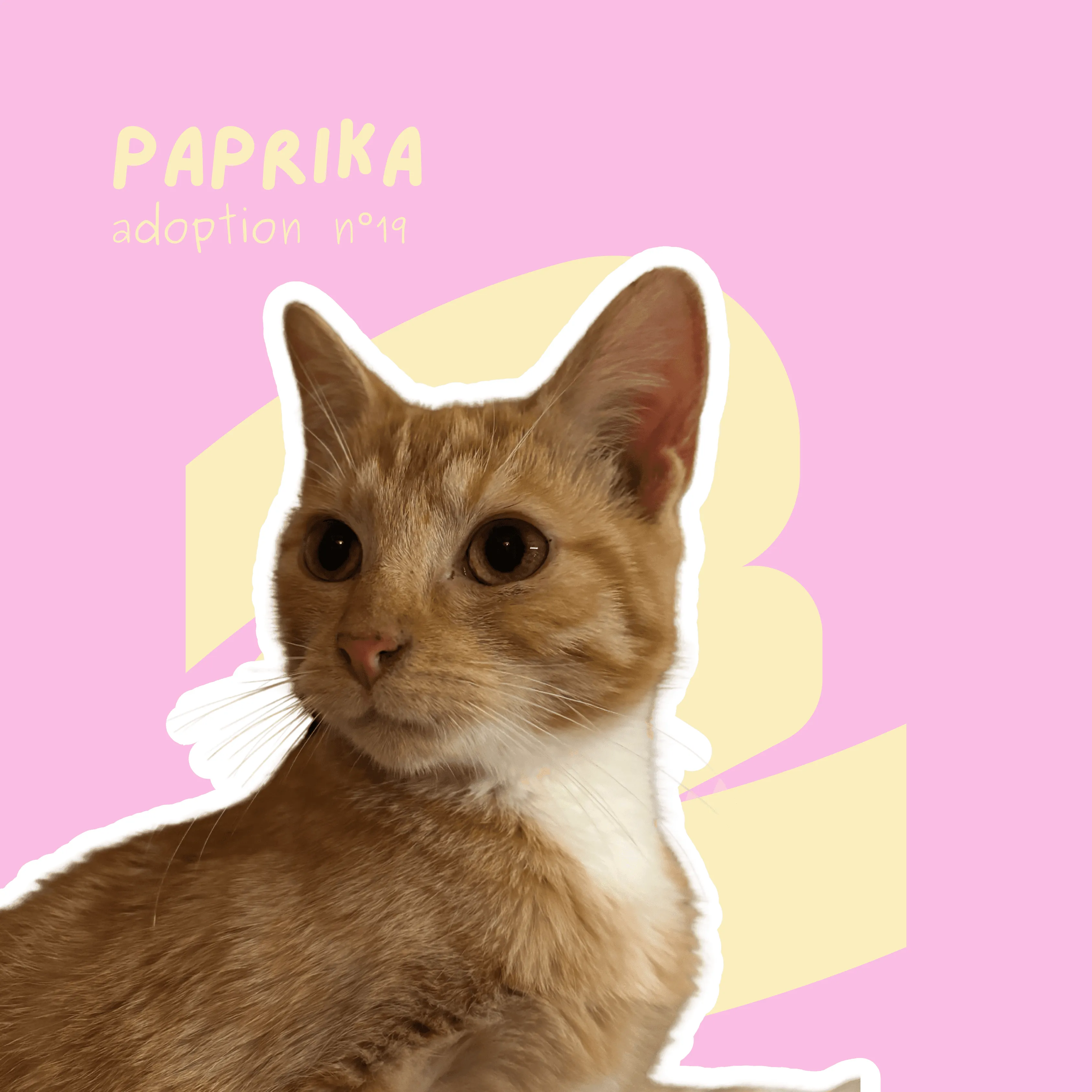 chat-paprika