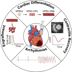 Picture from article