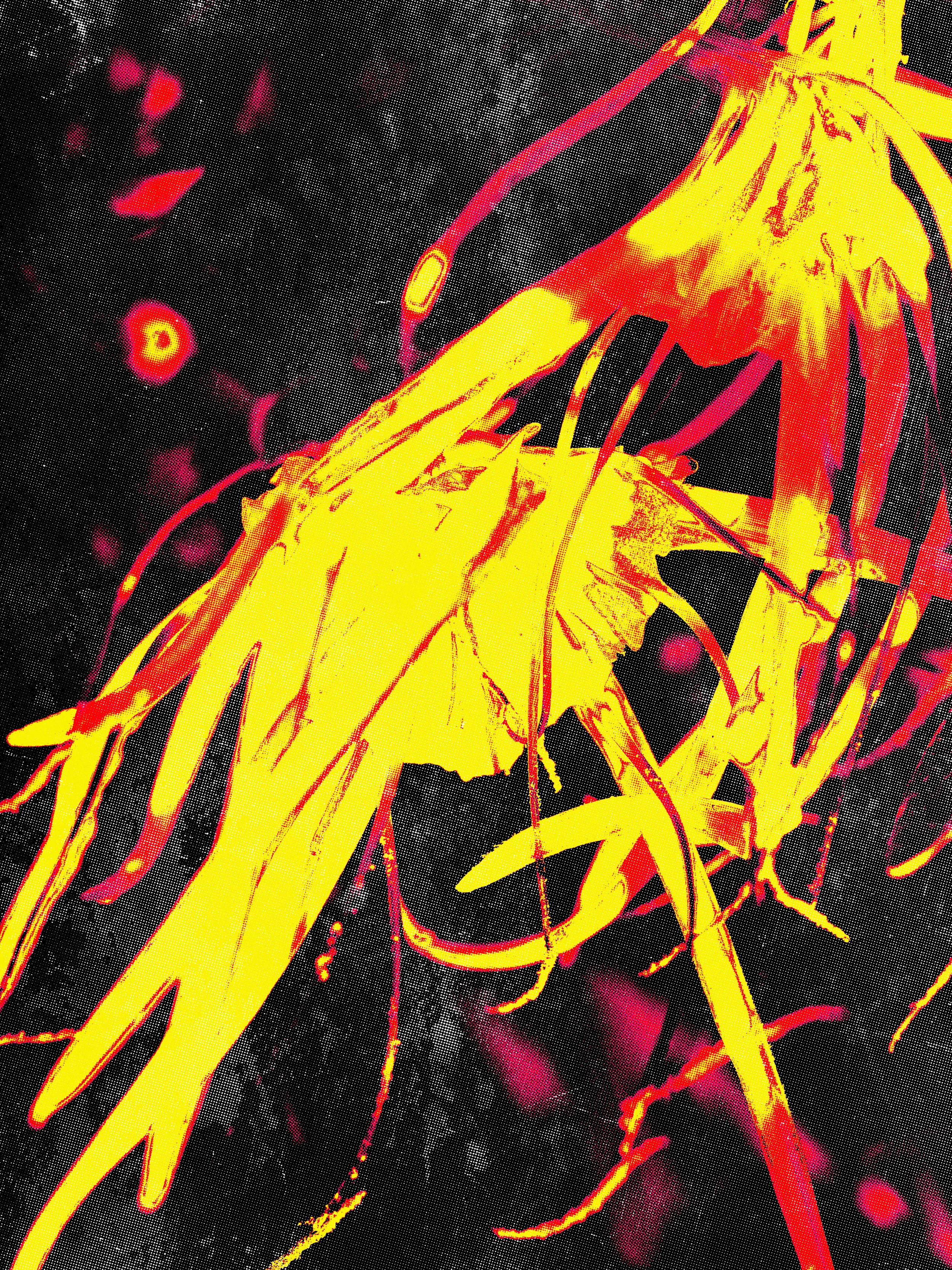 Fleur abstraite rouge sur fond noir, maquette de sérigraphie