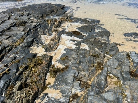 blue sky and white clouds over the sea