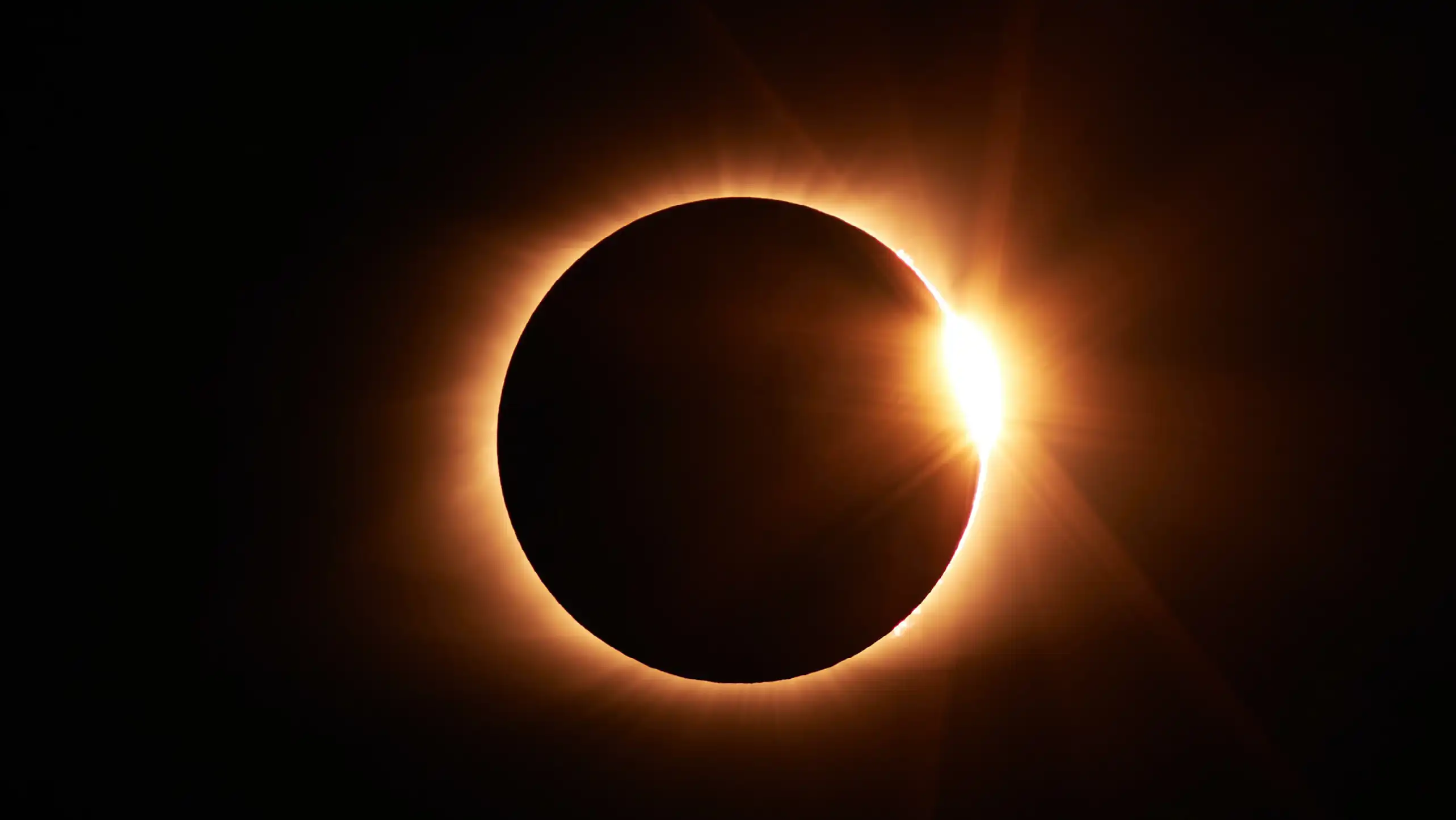 Man Wearing Sunglasses