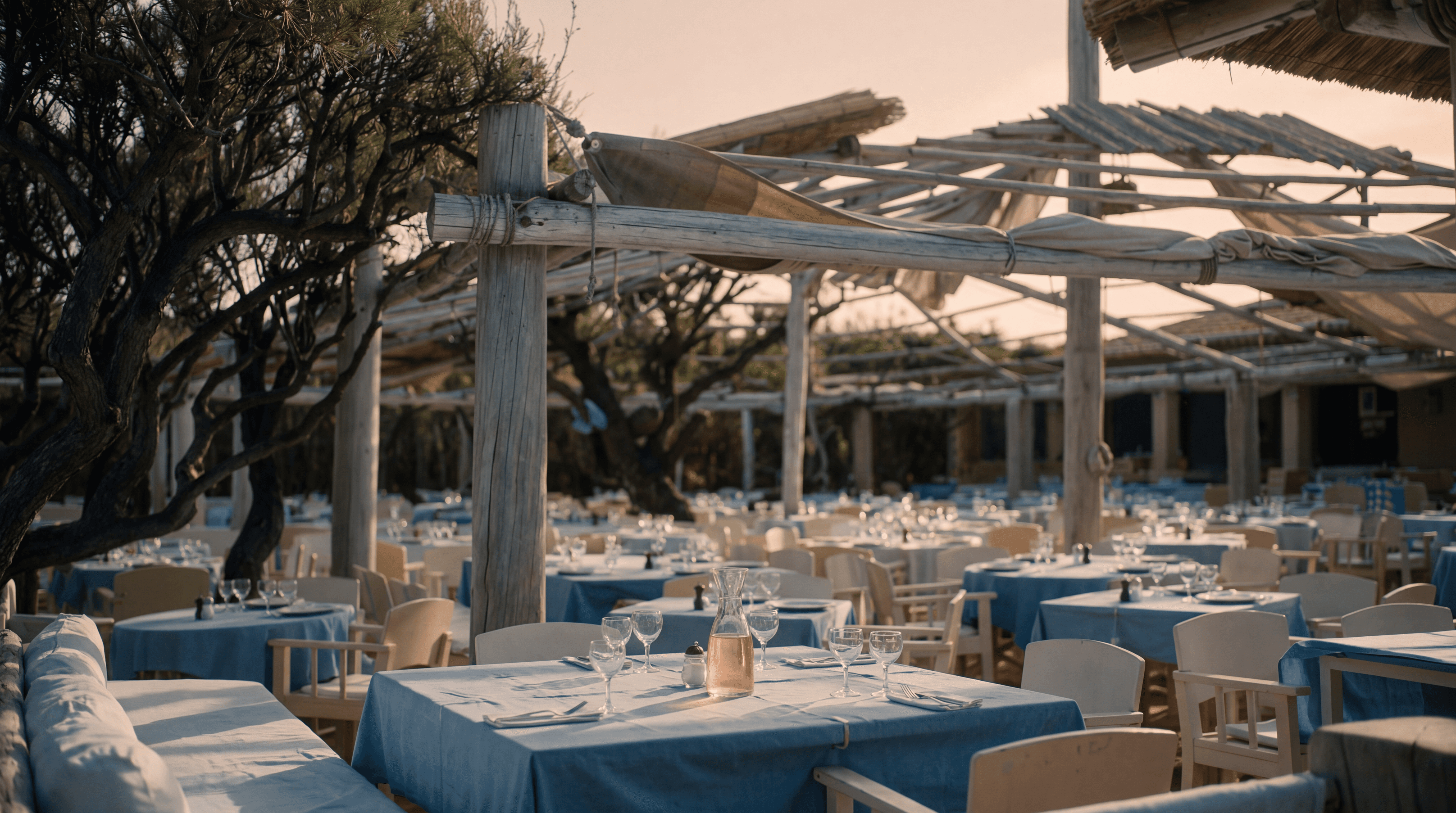 Bodrum beach club terrace with lounge seating, sunset atmosphere, and coastal views