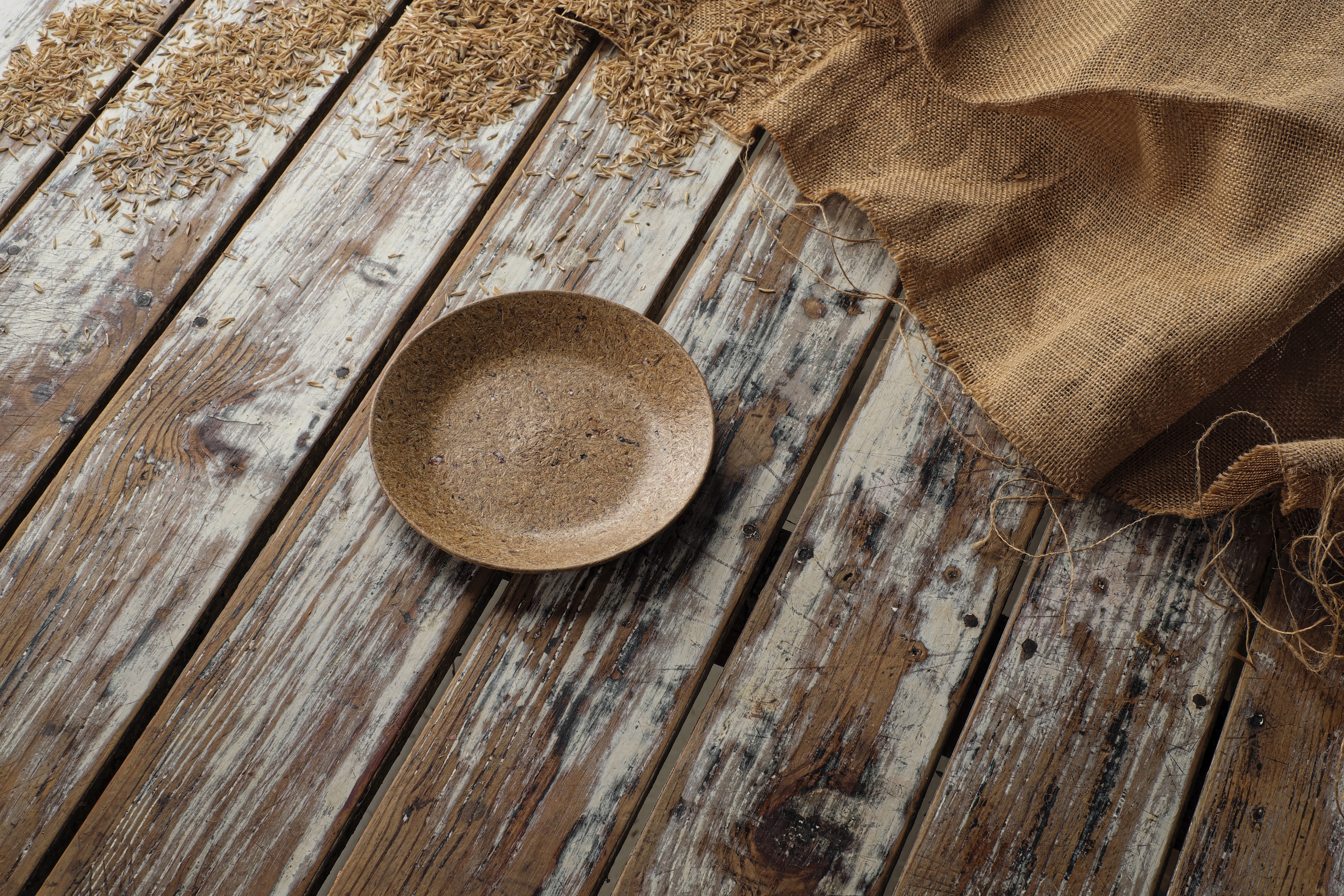 Earth Wing Plate 6 inch