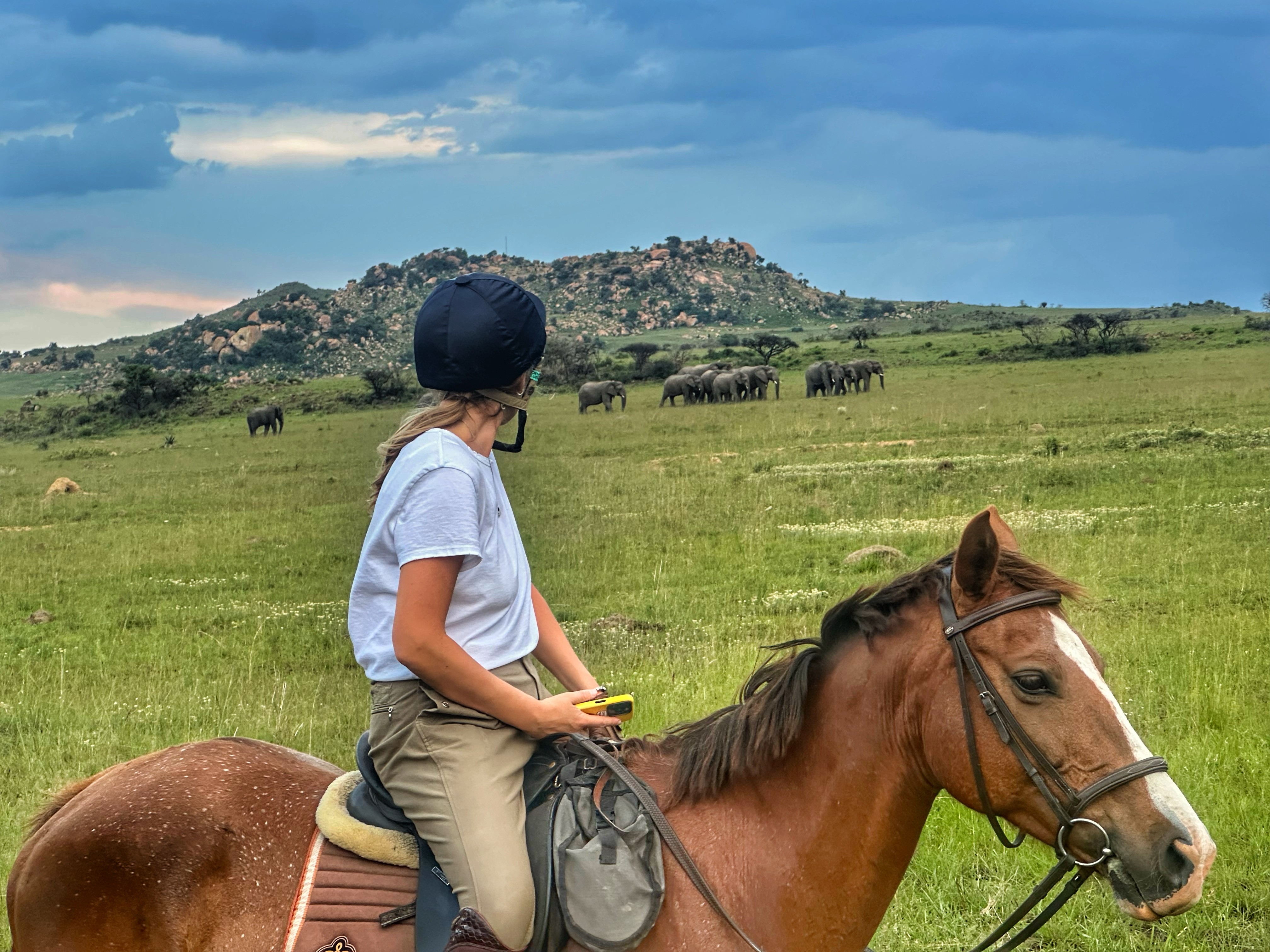 Kilimanjaro Elephant Ride, Arusha National Park, Tanzania – elefant i högt gräs tittar mot kameran, medan fem ryttare till häst på ridsafari i bakgrunden betraktar elefanten i ett grönt och frodigt landskap.