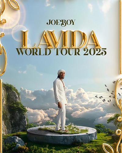 Joeboy Lavida World Tour 2025 campaign visual — poster design, MetaCraft.
