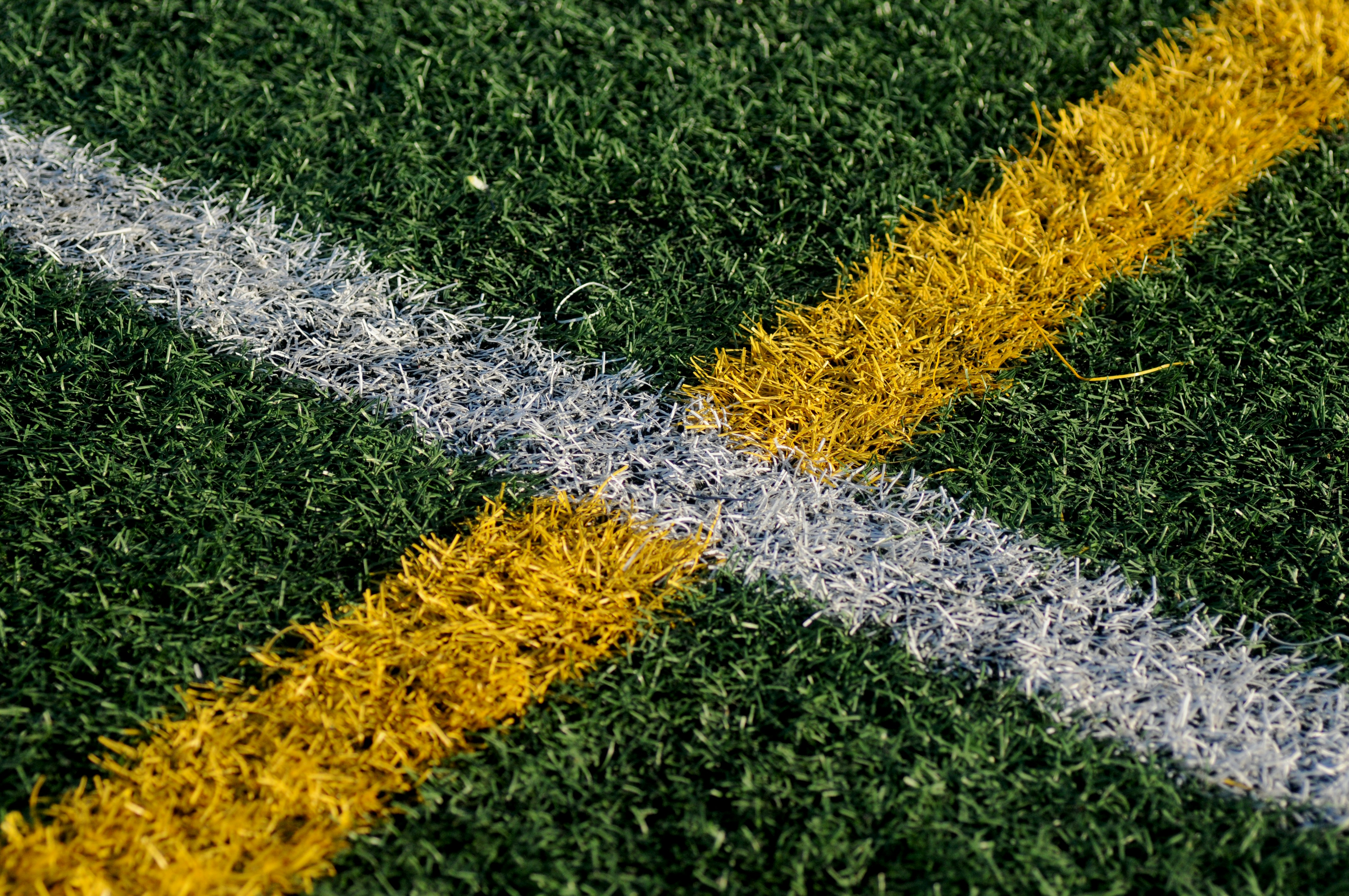 Soccer Field Turf