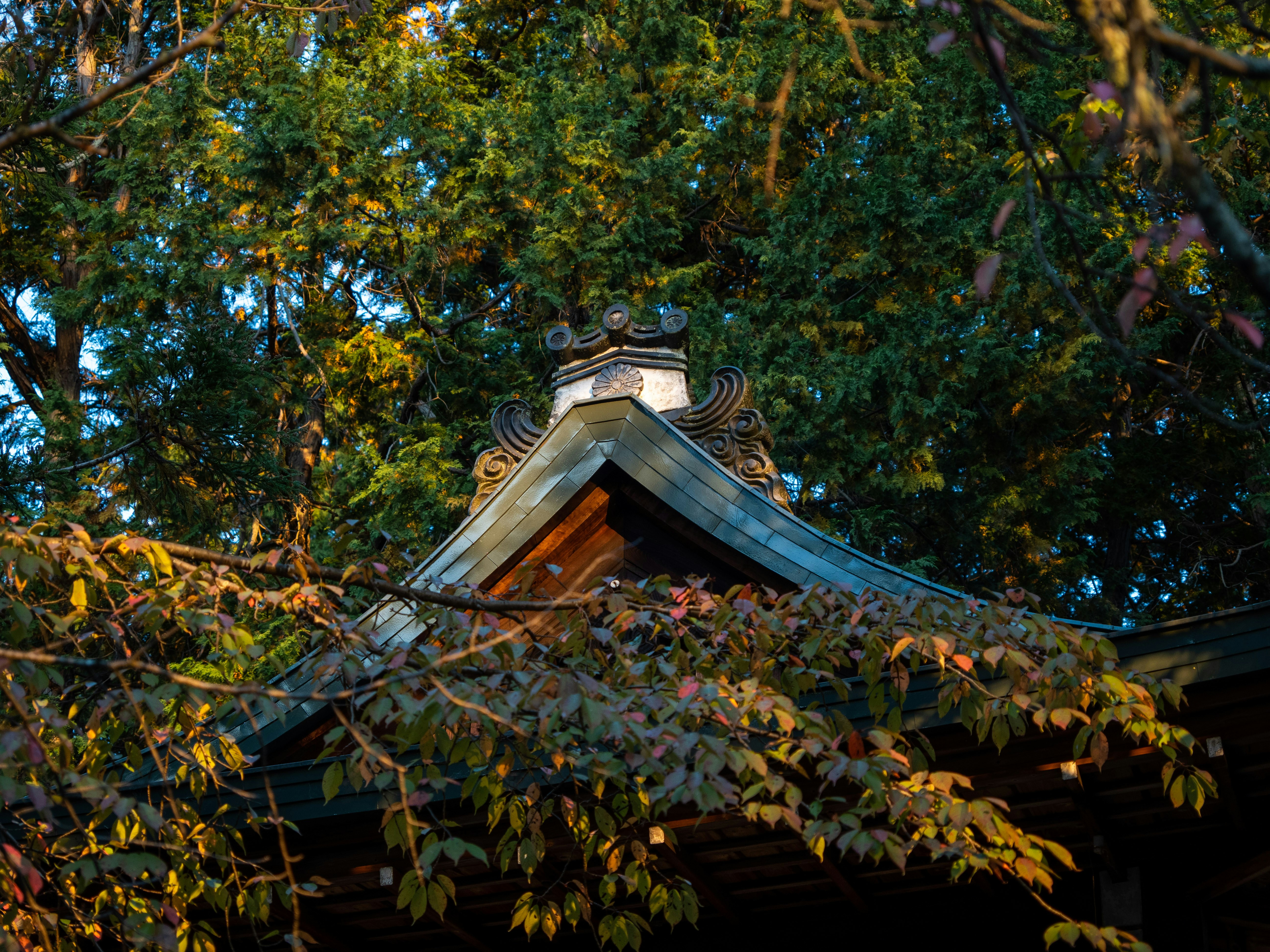a building with a pointed roof surrounded by trees