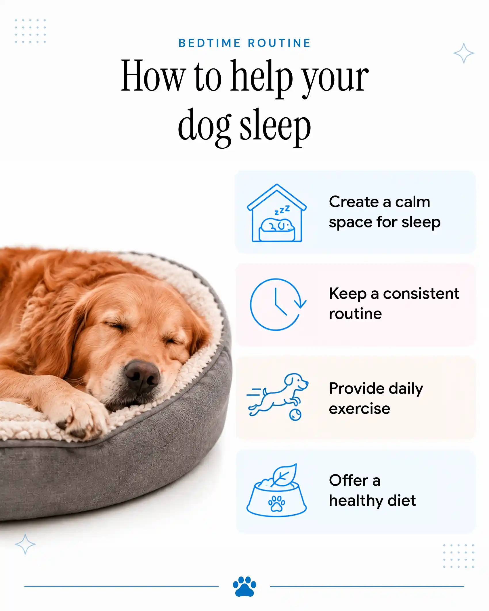 An infographic showing the ways to help your dog sleep better.