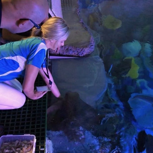 A woman in a blue shirt and a man observe marine life in an aquarium, with the woman reaching into the water.