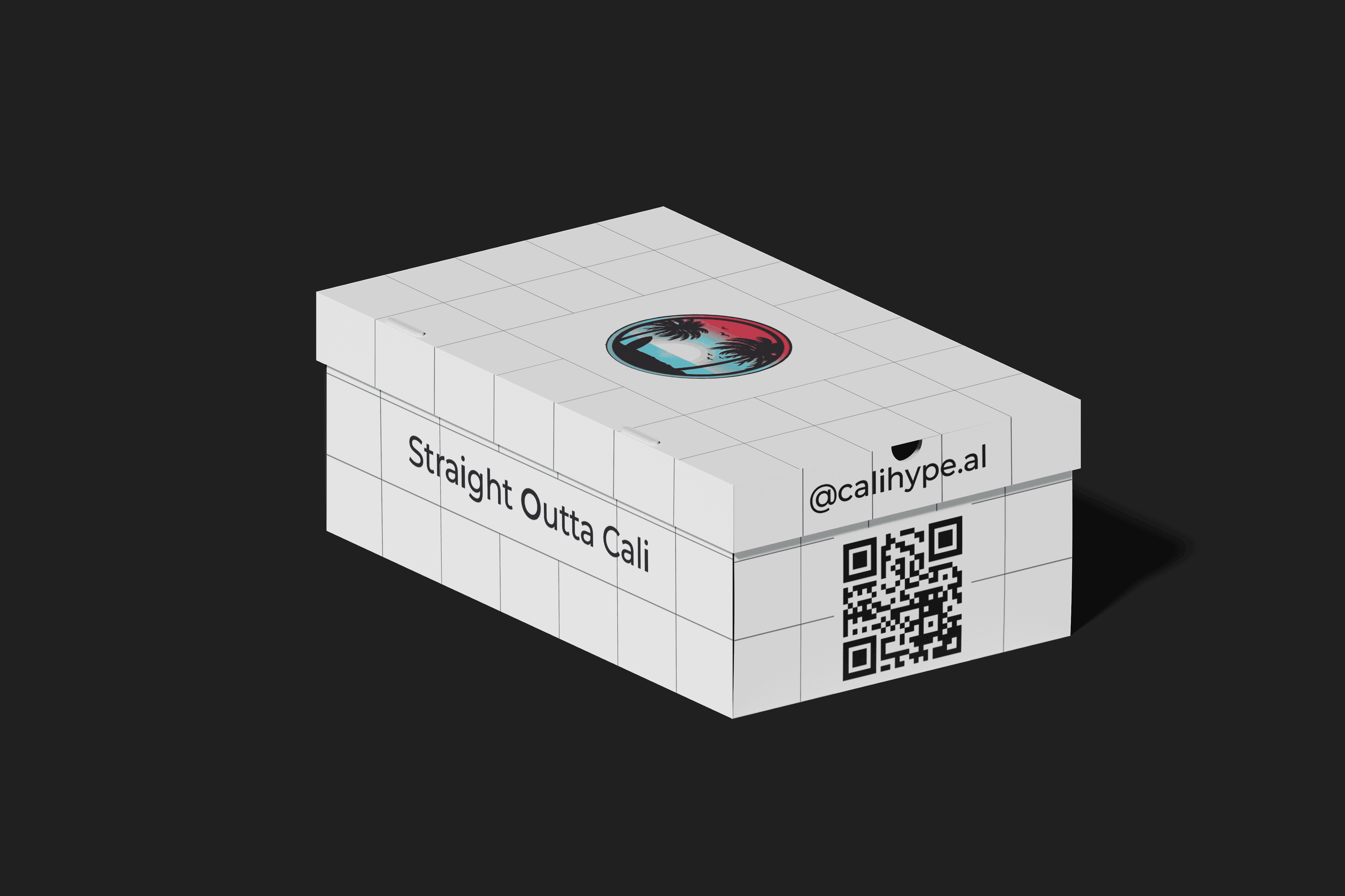 DV Hive Shoe Box Concept