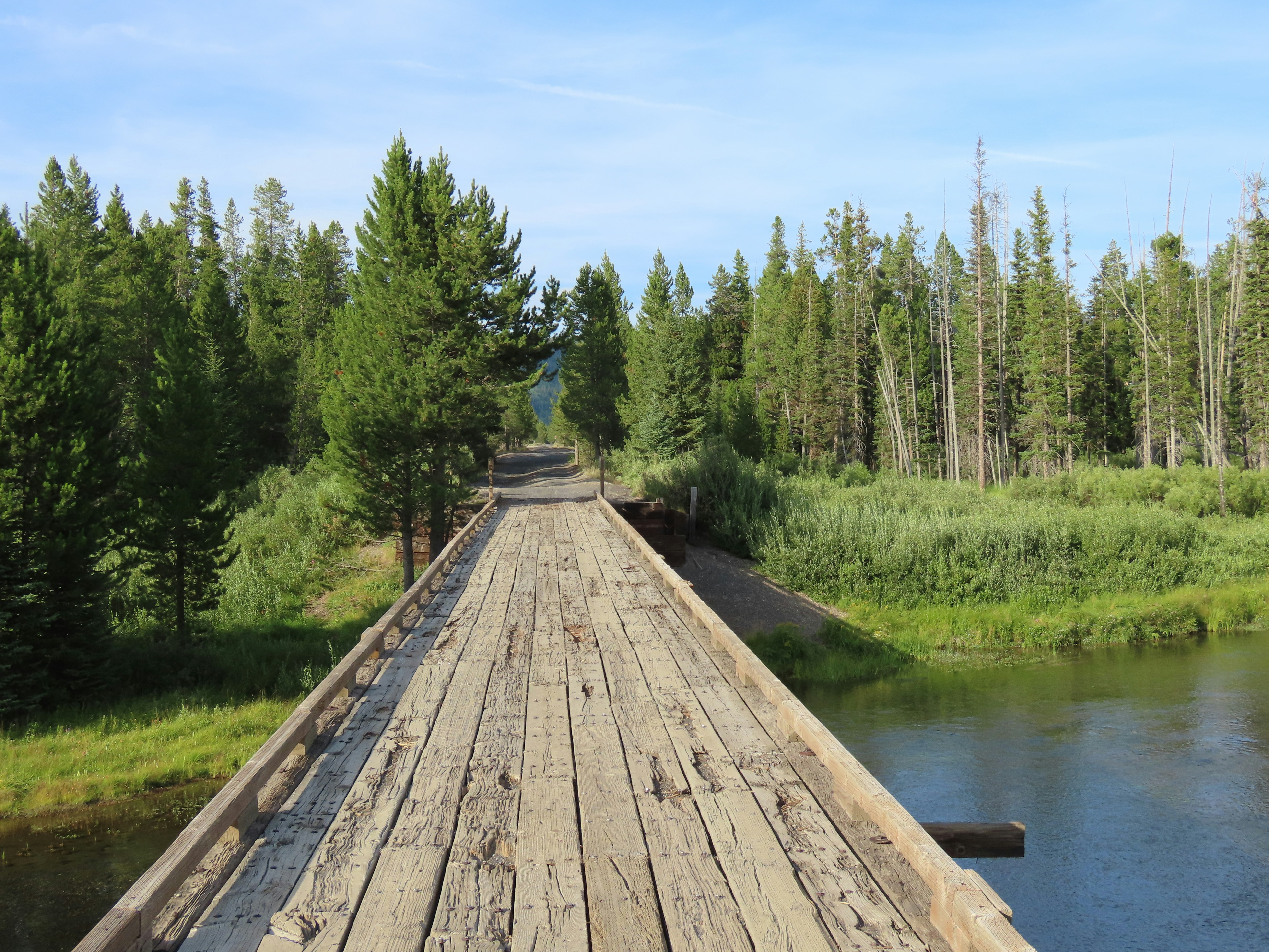 a wooden bridge over a river surrounded by trees