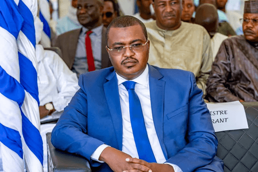 H.E Mr Maïdé Hamit Lony, WSA IGO