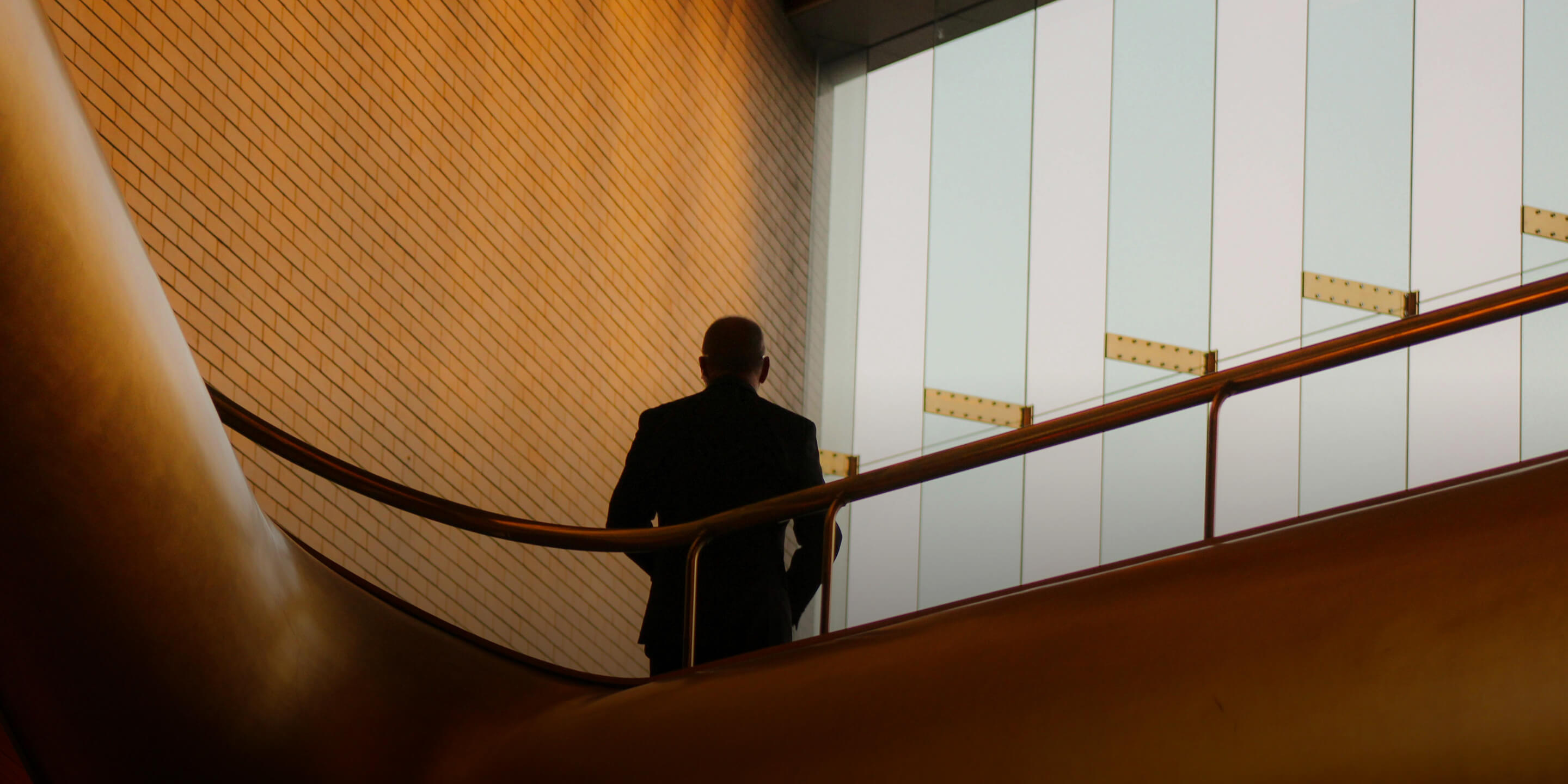 The back of a man in a warm office