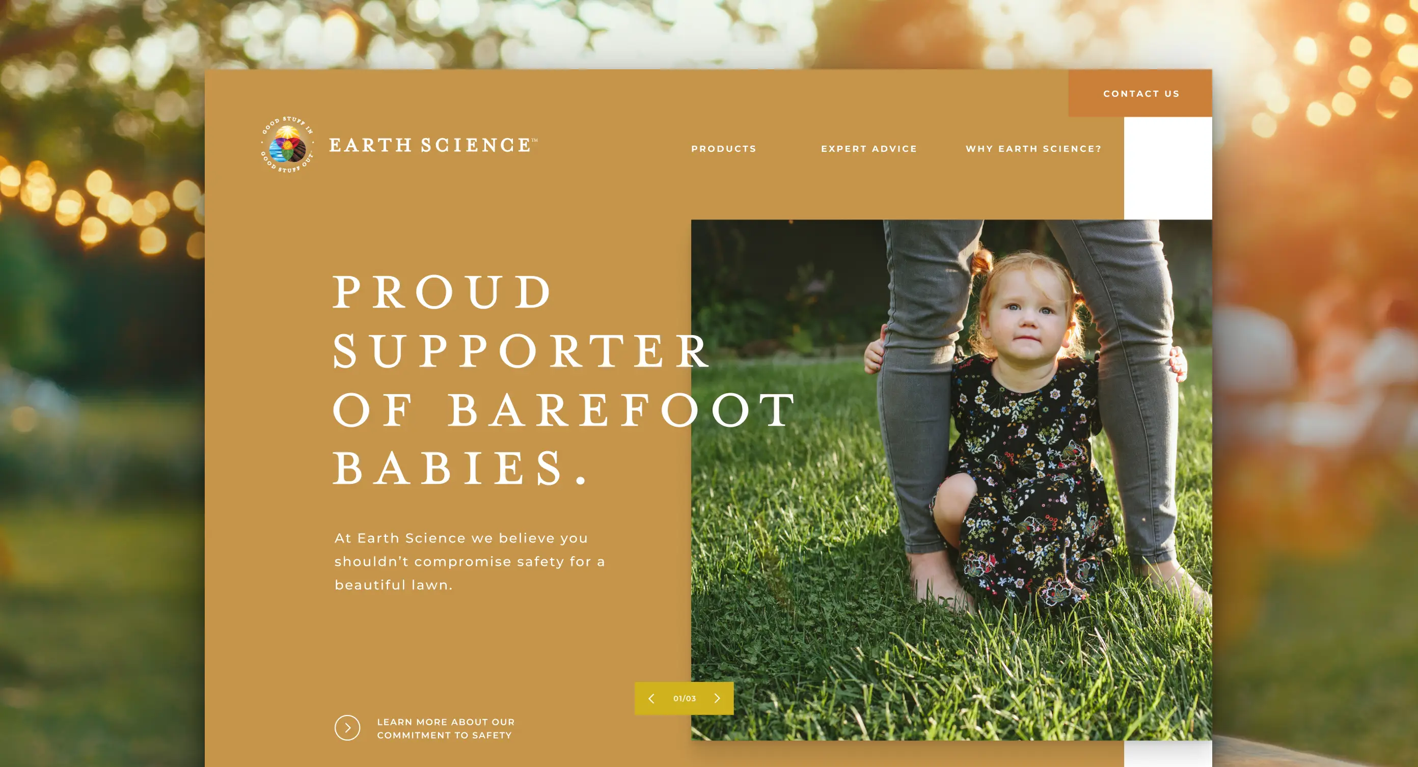 Earth Science website design by Armor