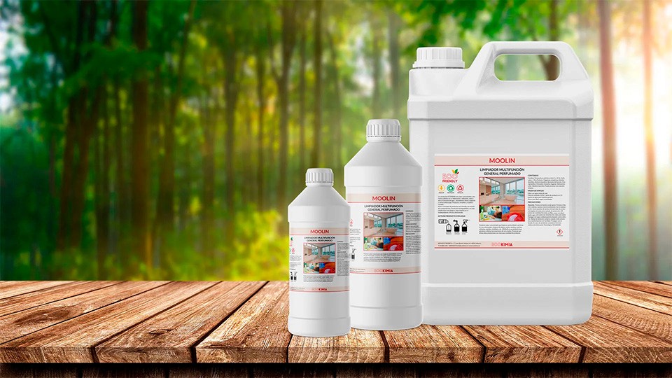 Cheerful woman at desk