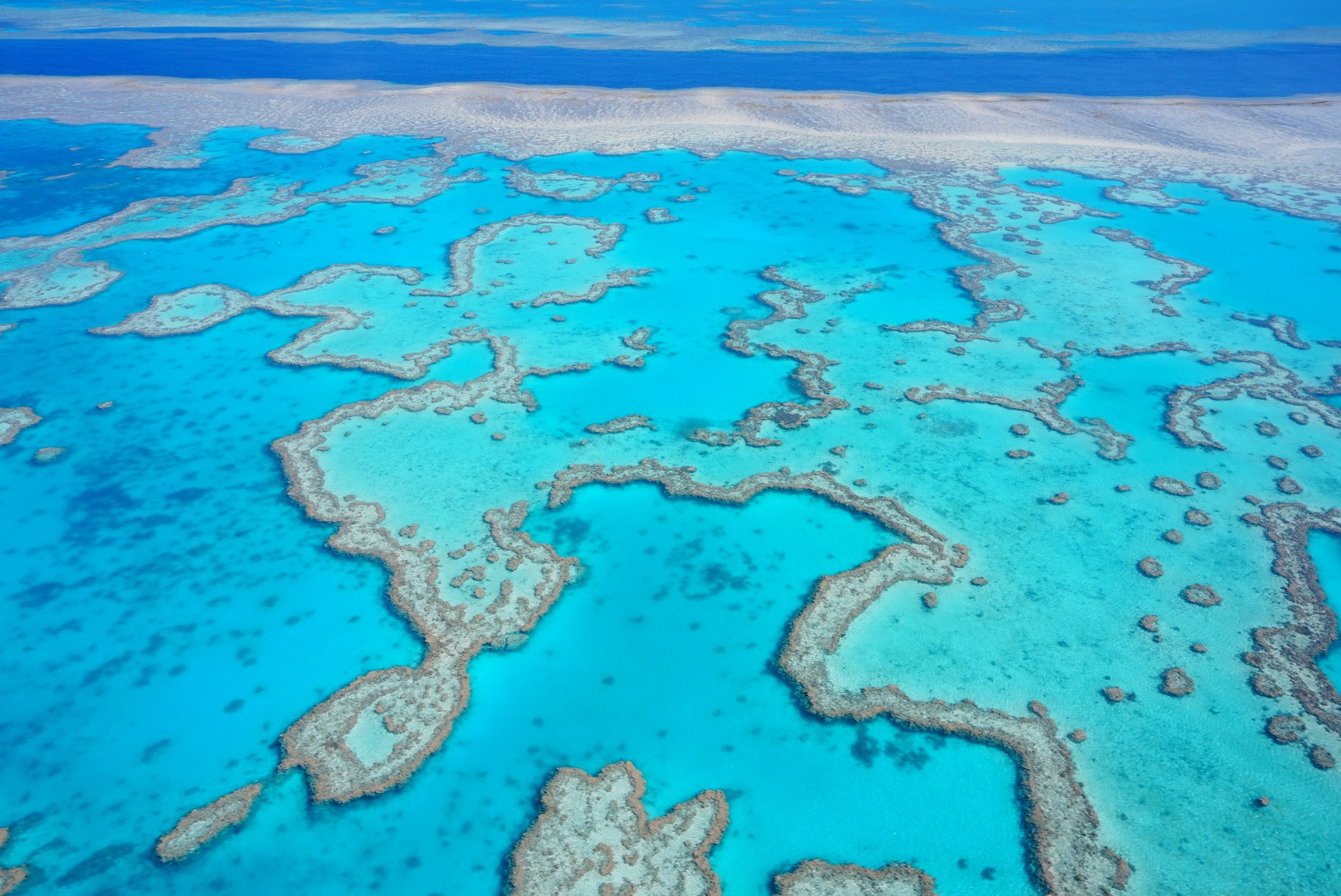 woman floating on body of water