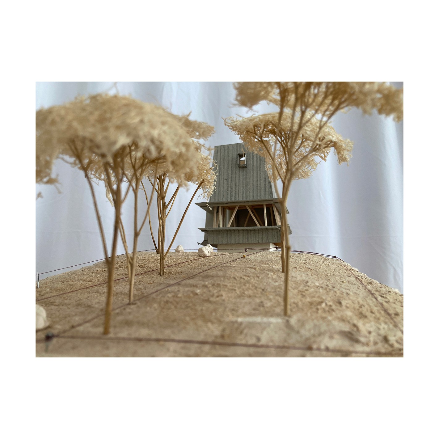 cabin_in_woods_project_explain_ediz_demirel_works_edworks_architecture_studio_construction_edwork