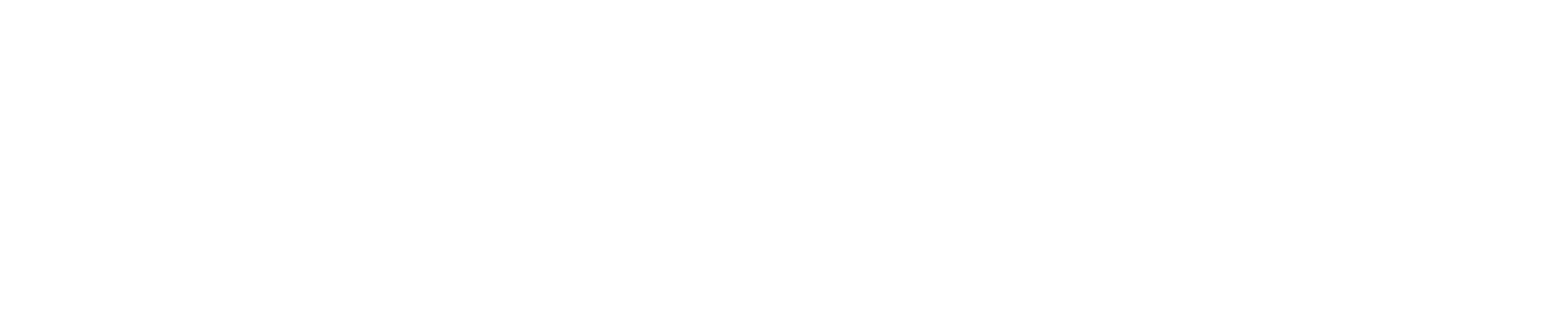 WaveLight Digital Creations — website design agency South Africa