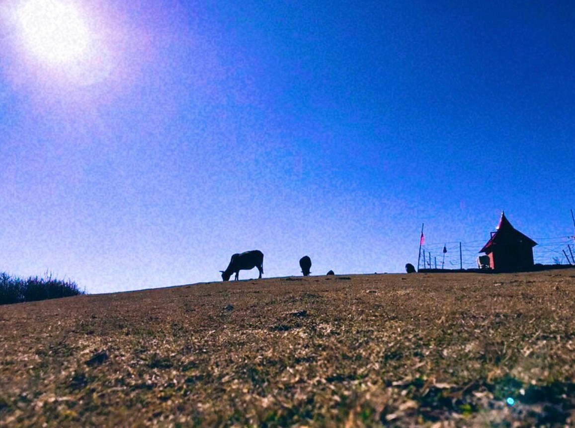A model surrounded by photographers holding cameras