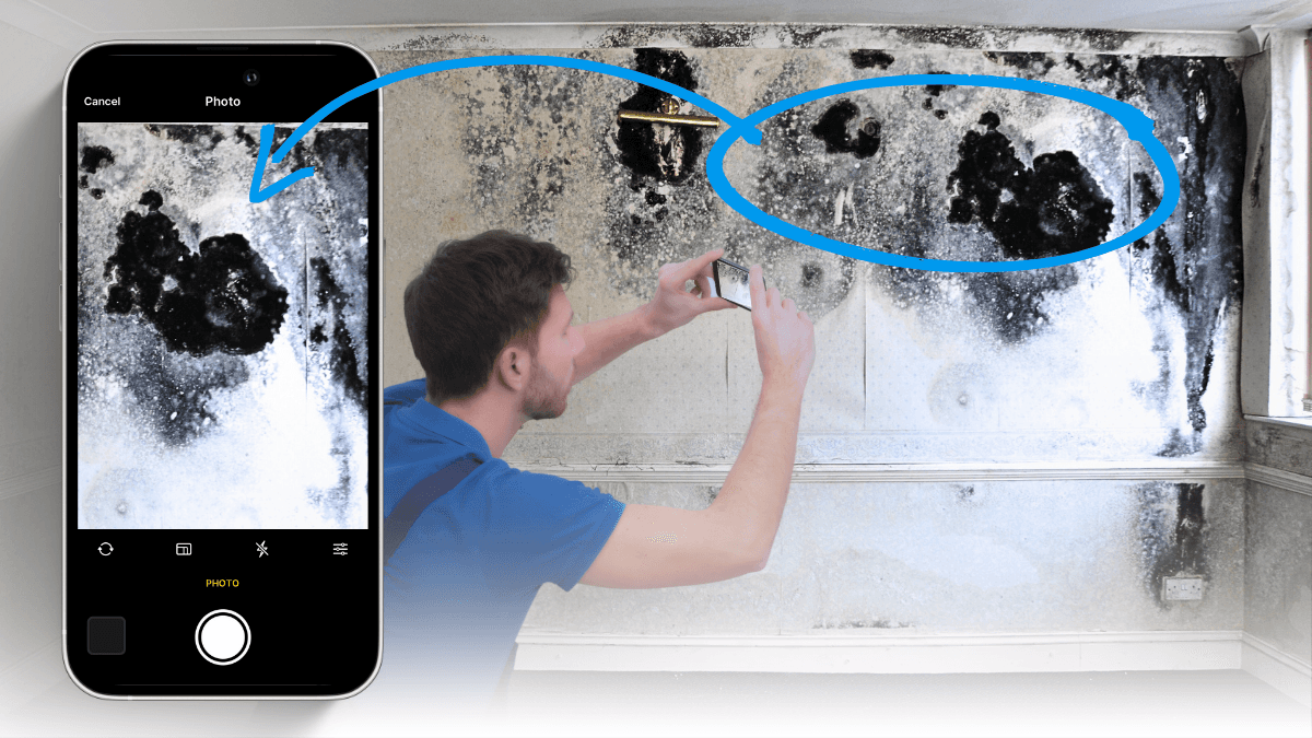 project manager documenting fire damages