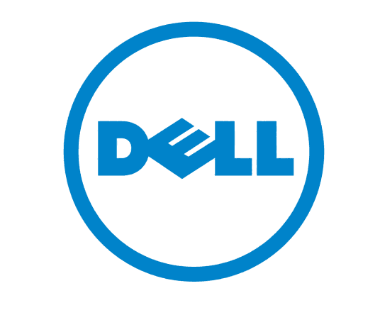 Logo DELL- Raidbr Segurança Digital