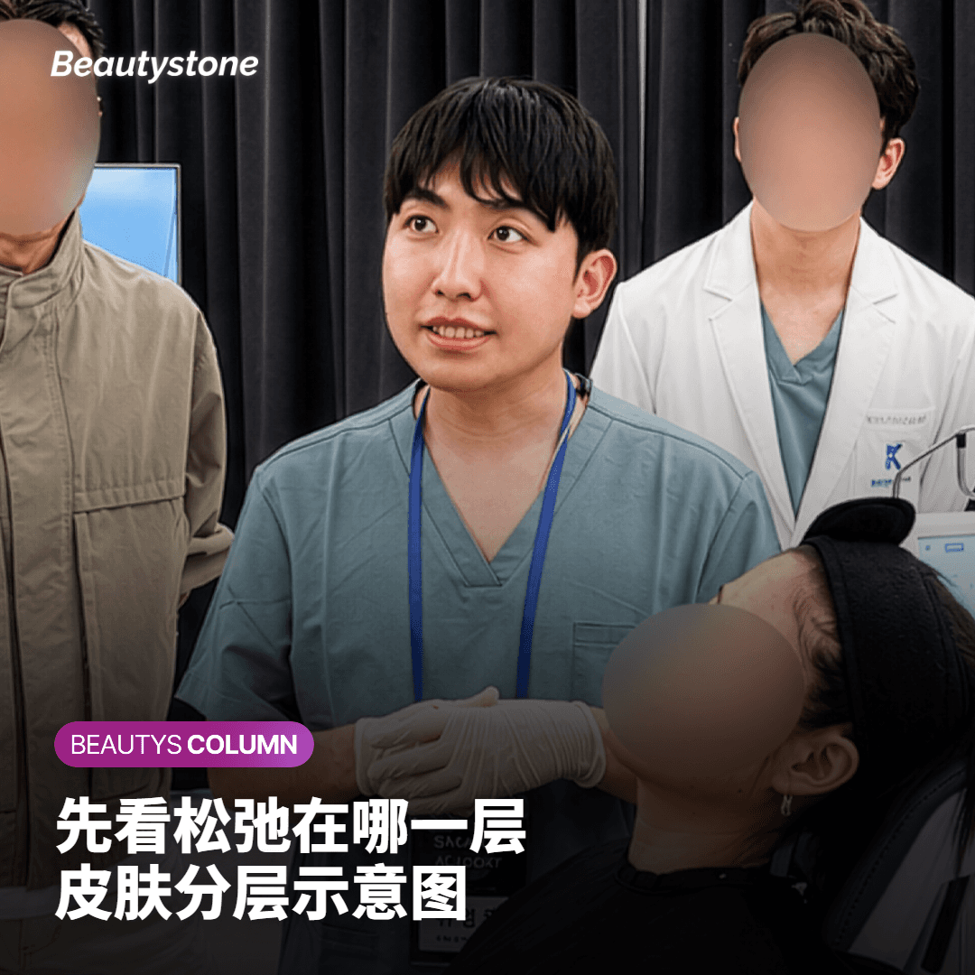 从表皮延伸到 SMAS 层的肌肤剖面